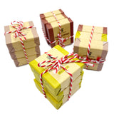 🎄 Mini Soap Trio ✨