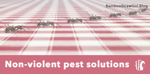 Non-violent pest solutions