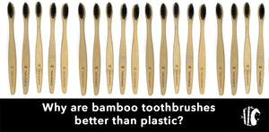 Why are bamboo toothbrushes better than plastic?