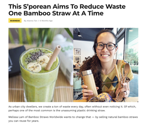 YP.sg: This S'porean Aims To Reduce Waste One Bamboo Straw At A Time